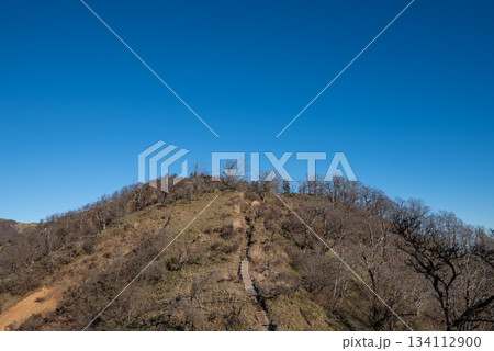 塔ノ岳と丹沢山登山、神奈川県 134112900