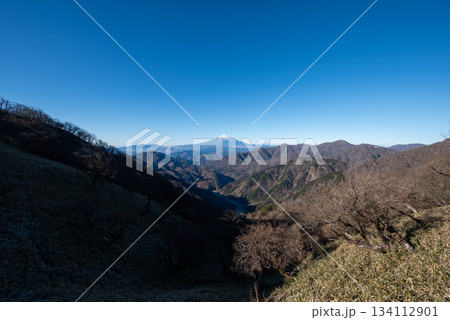 塔ノ岳と丹沢山登山、神奈川県 塔ノ岳と丹沢山登山、神奈川県 134112901