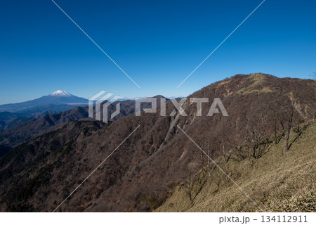 塔ノ岳と丹沢山登山、神奈川県 134112911
