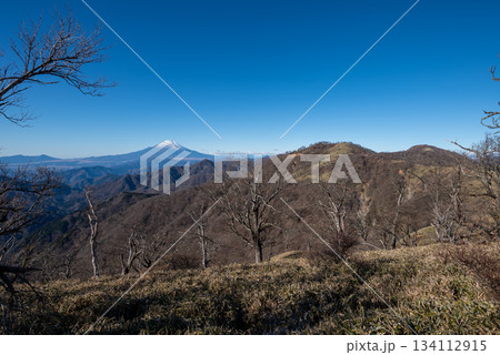 塔ノ岳と丹沢山登山、神奈川県 134112915