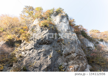 秋の猊鼻渓 秋の猊鼻渓 134112936