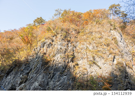 秋の猊鼻渓 秋の猊鼻渓 134112939