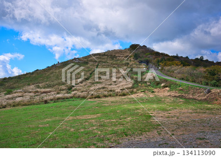 四国カルスト 134113090