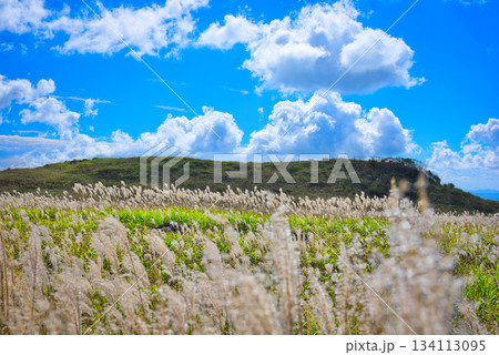 四国カルスト 134113095