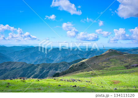 四国カルストの絶景 134113120