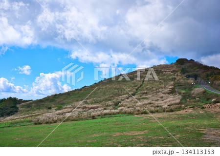 四国カルストの景色 四国カルストの景色 134113153