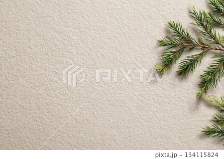 Elegant Fir Branch on Textured Beige Background 134115824