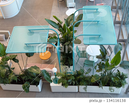 Modern cafe space with greenery and pastel seating viewed from above. Relaxation, social meetings, interior design, comfortable atmosphere and contemporary hospitality mood. Modern cafe space with greenery and pastel seating viewed from above. Relaxation, social meetings, interior design, comfortable atmosphere and contemporary hospitality mood. 134116138