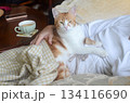A small yellow-and-white cat rests peacefully on its owners lap, enjoying the warmth and comfort 134116690