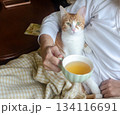 An adorable yellow-and-white cat resting peacefully on its owners lap, while she is drinking tea 134116691