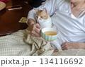 An adorable yellow-and-white cat resting peacefully on its owners lap, while she is drinking tea 134116692