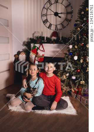 Children celebrating christmas holidays with a cat Children celebrating christmas holidays with a cat 134116761