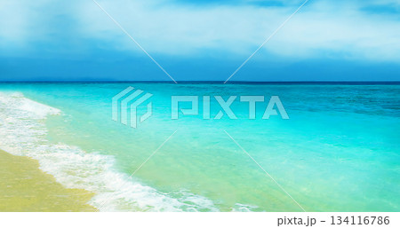 Tranquil Seascape with Turquoise Waters and Sandy Shoreline Tranquil Seascape with Turquoise Waters and Sandy Shoreline 134116786