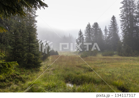 Fog covers the landscape near Wiegensee in Gaschurn, Montafon, Vorarlberg, Austria during early morning hours Fog covers the landscape near Wiegensee in Gaschurn, Montafon, Vorarlberg, Austria during early morning hours 134117317
