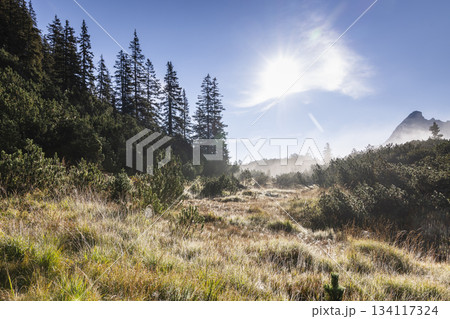 Morning light shines over the foggy landscape near Wiegensee in Gaschurn, Montafon, Vorarlberg, Austria 134117324
