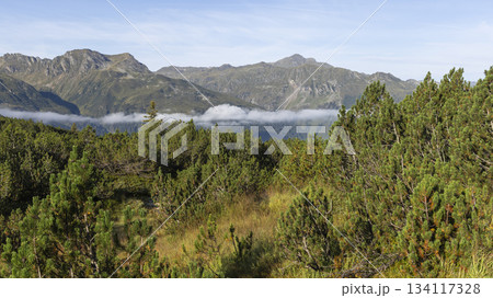 Scenic view from hillside near Wiegensee in Gaschurn, Montafon, Vorarlberg, Austria on a clear day 134117328
