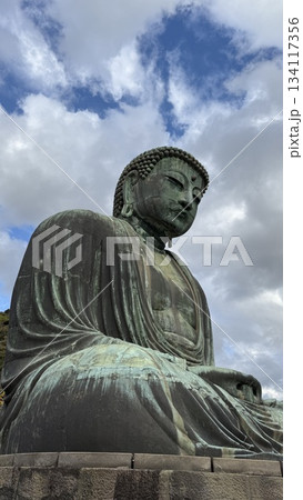 鎌倉大仏 134117356
