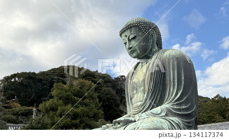 鎌倉大仏 鎌倉大仏 134117374