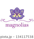 Magnolia flower logo nature beauty 134117538