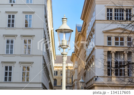Street Lamp in Elegant Alley in Vienna 134117605