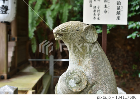 大豊神社 狛ねずみ(京都市左京区) 大豊神社 狛ねずみ(京都市左京区) 134117686