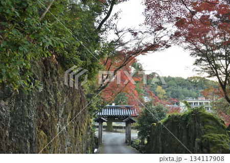 秋の興聖寺 琴坂から見る石門(京都府宇治市) 秋の興聖寺 琴坂から見る石門(京都府宇治市) 134117908
