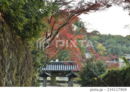 秋の興聖寺　琴坂から見る石門(京都府宇治市) 134117909