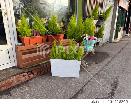 Flower shop with outdoor planters. Urban gardening, street decoration, home greenery and cozy neighborhood lifestyle Flower shop with outdoor planters. Urban gardening, street decoration, home greenery and cozy neighborhood lifestyle 134118266