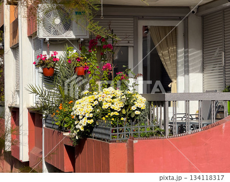 Balcony with outdoor potted flowers in sunny weather. Home gardening, apartment lifestyle and cozy residential atmosphere Balcony with outdoor potted flowers in sunny weather. Home gardening, apartment lifestyle and cozy residential atmosphere 134118317