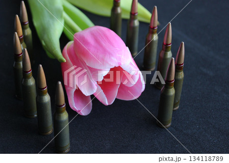 Bullets Stand In A Line Around Single Blooming Tulip On Black Background  134118789