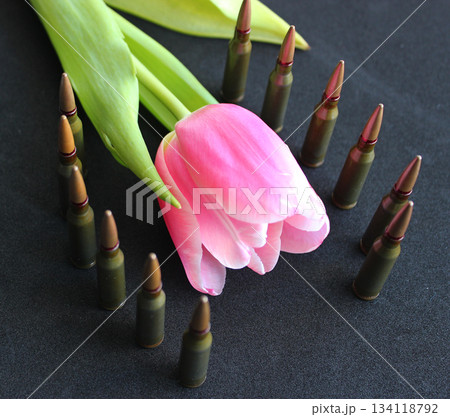 Live Ammunition Staying Around Pink Flower On Black Surface  134118792