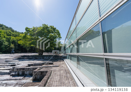 郡山市立美術館のガラス外壁と樹木 郡山市立美術館のガラス外壁と樹木 134119138