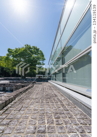 郡山市立美術館のガラス外壁と樹木 郡山市立美術館のガラス外壁と樹木 134119139