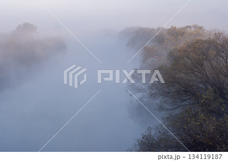 夜明けの渡良瀬川に立ち込める朝霧の流れ 134119187
