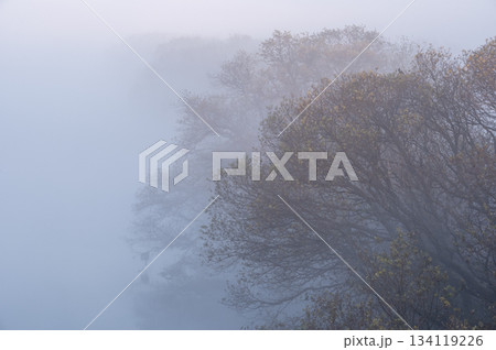 夜明けの渡良瀬川に立ち込める朝霧の流れ 134119226