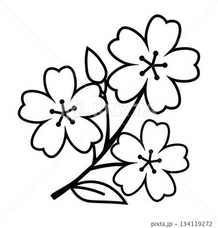 桜の花を描いたシンプルなモノクロイラスト 桜の花を描いたシンプルなモノクロイラスト 134119272