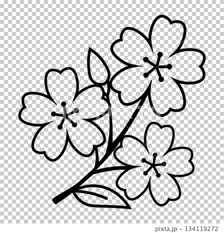 桜の花を描いたシンプルなモノクロイラスト 桜の花を描いたシンプルなモノクロイラスト 134119272
