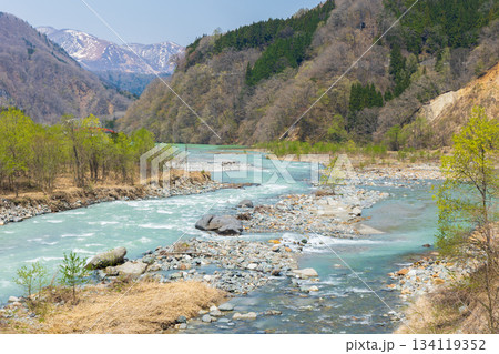 春の長野県白馬村　姫川 134119352