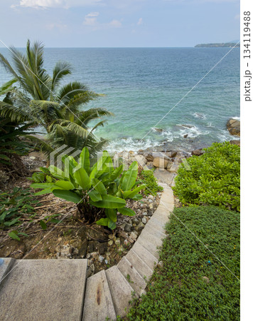stone staircase leading through tropical trees to the sea and rocky coast, palm trees, surf, azure water stone staircase leading through tropical trees to the sea and rocky coast, palm trees, surf, azure water 134119488