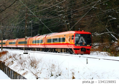 鬼怒川温泉から雪景色を駆け抜け新宿駅へ… 直通特急253系 電車 134119891
