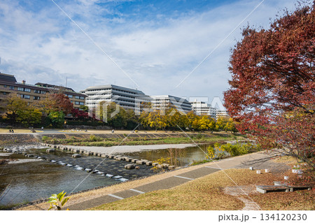 晩秋の鴨川風景　京都市 134120230
