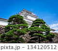 Tsuruga Castle in Aizuwakamatsu, Fukushima, Japan 134120512