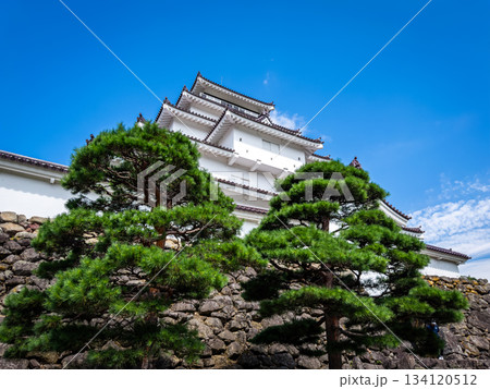 Tsuruga Castle in Aizuwakamatsu, Fukushima, Japan Tsuruga Castle in Aizuwakamatsu, Fukushima, Japan 134120512