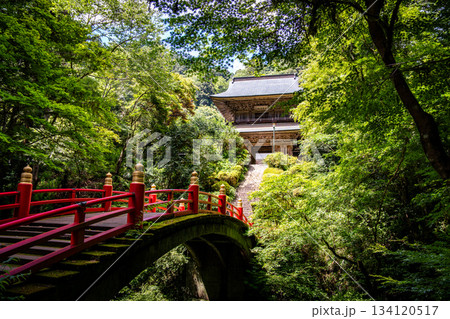Unganji temple in Otawara, Tochigi, Japan 134120517