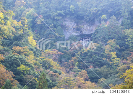 投げ入れ堂の秋景色 投げ入れ堂の秋景色 134120848