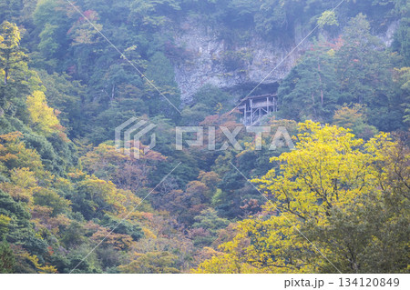 投げ入れ堂の秋景色 134120849