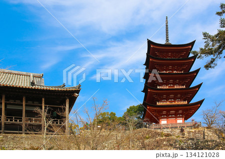 世界遺産 厳島神社 五重塔と末社豊国神社本殿(千畳閣) 世界遺産 厳島神社 五重塔と末社豊国神社本殿(千畳閣) 134121028