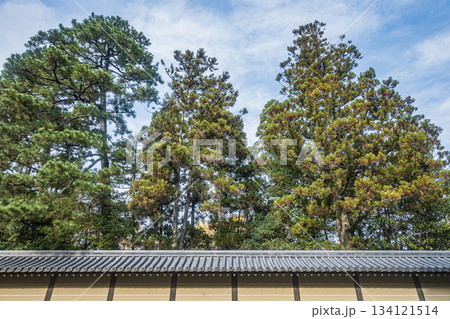 京都御苑　京都市 134121514