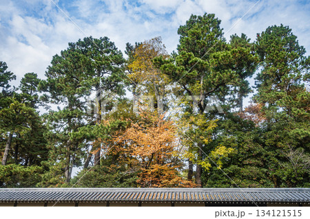 京都御苑 京都市 京都御苑 京都市 134121515
