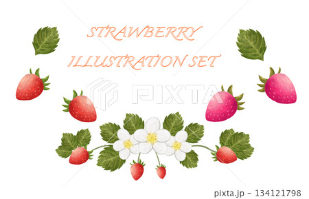 いちごの素材イラストセット 134121798